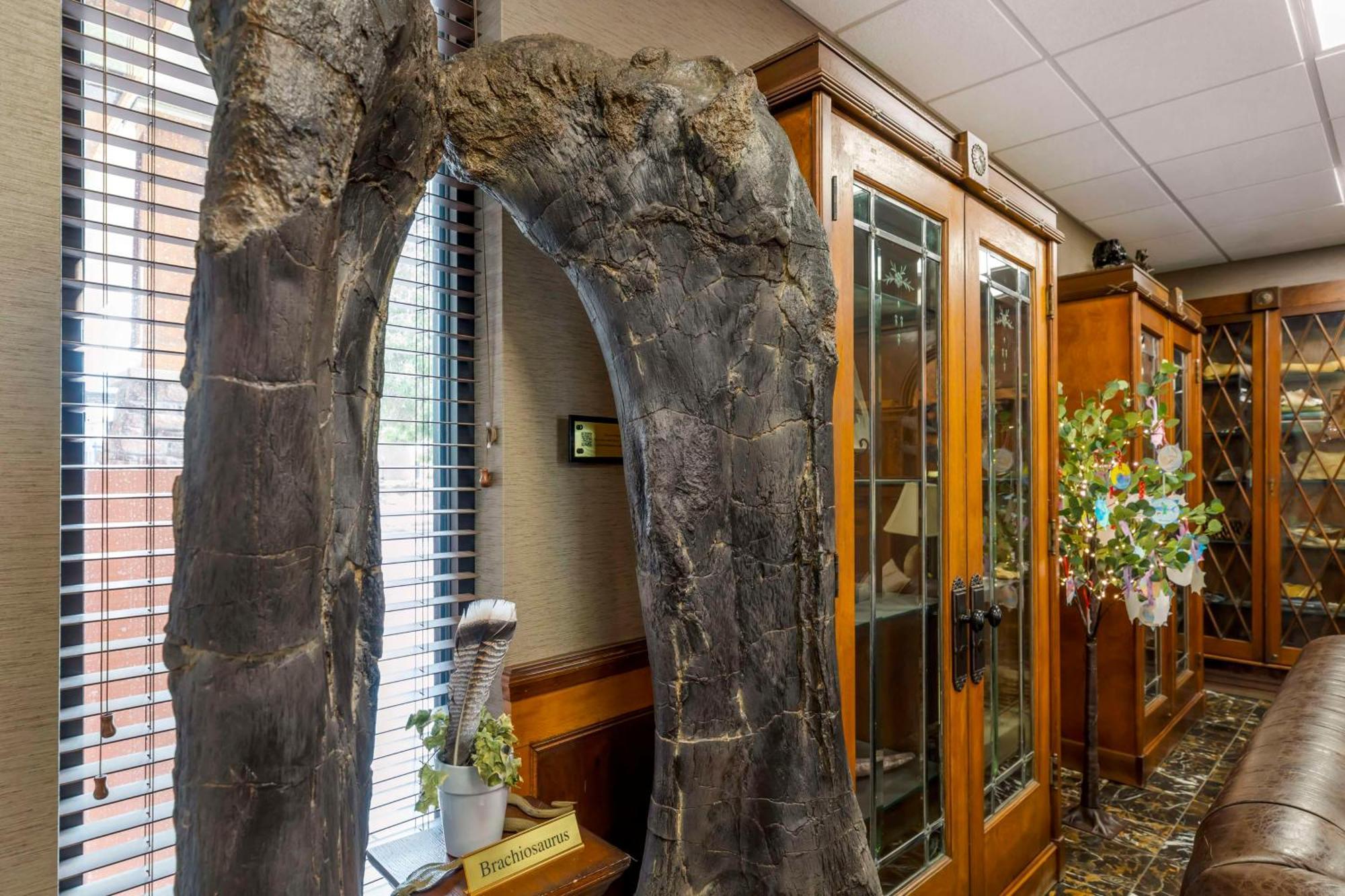 Best Western Denver Southwest Lakewood Exterior foto